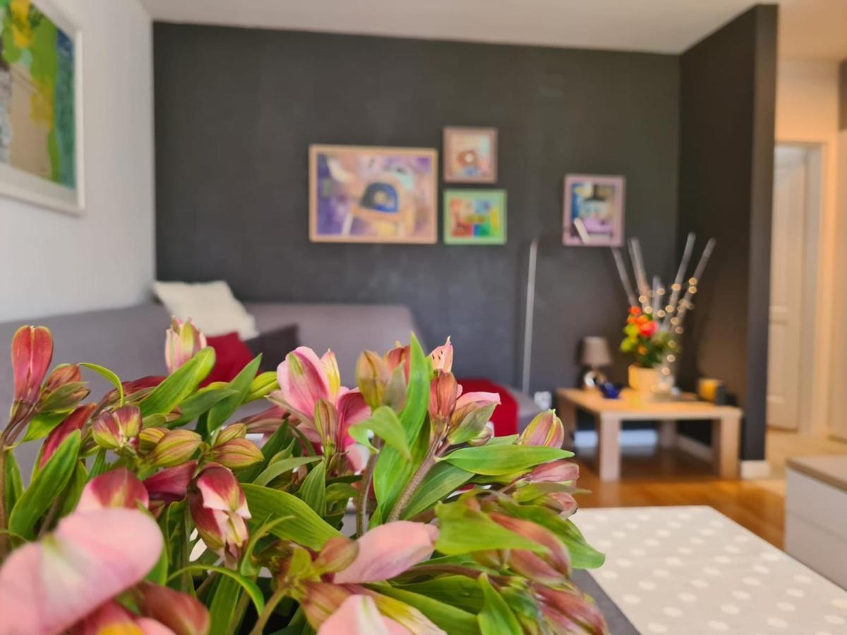 Apartment Vedrana Ровінь Екстер'єр фото